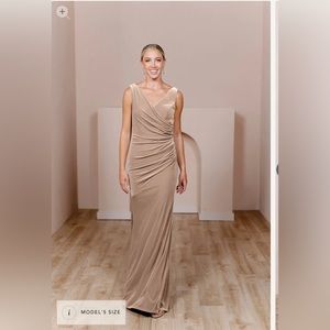Revelry Dawson Velvet Dress Champagne Color Size 8